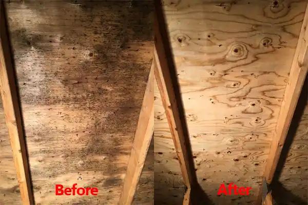 water damage restoration service Valley Cottage